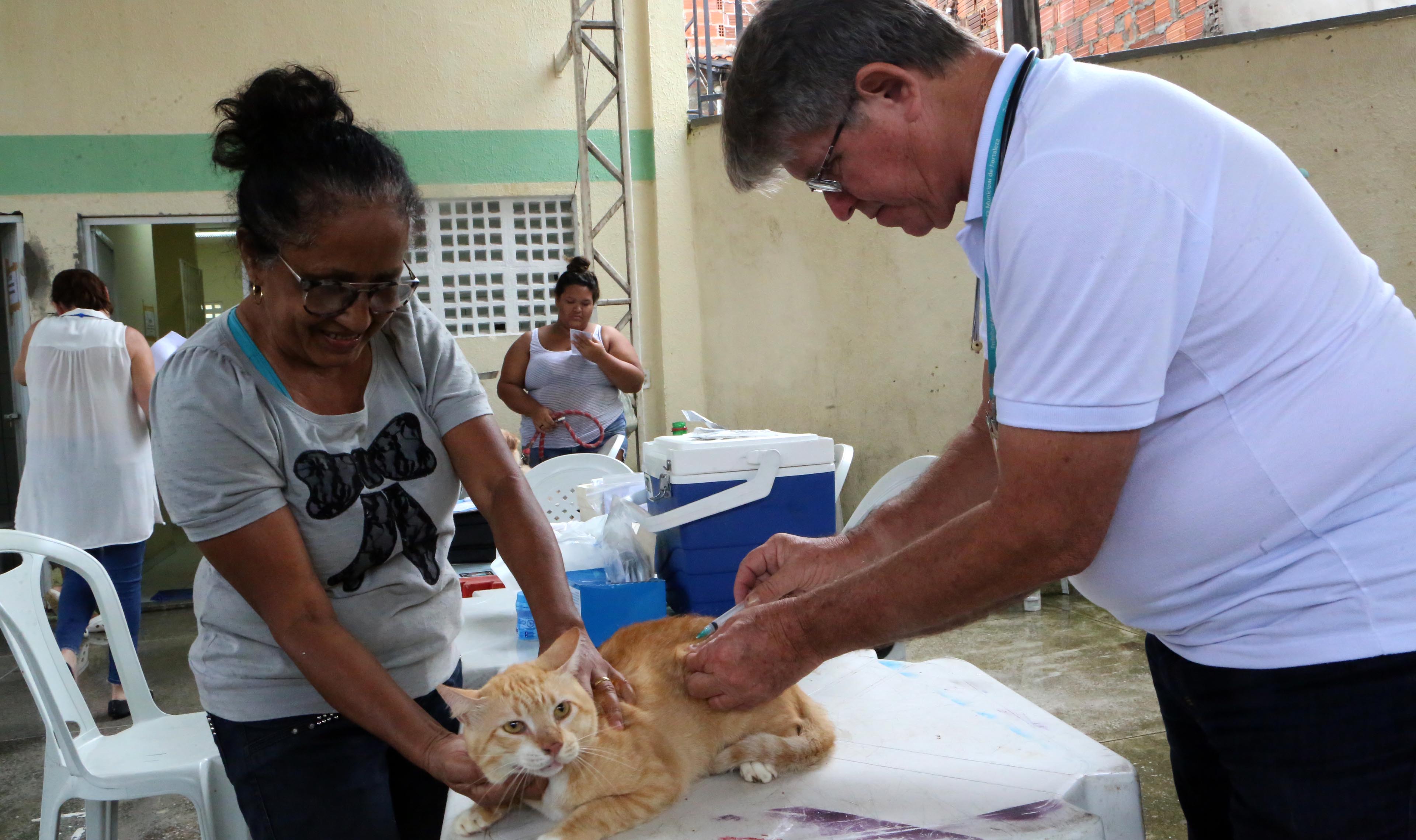 mulher segura gato enquanto ele é vacinado